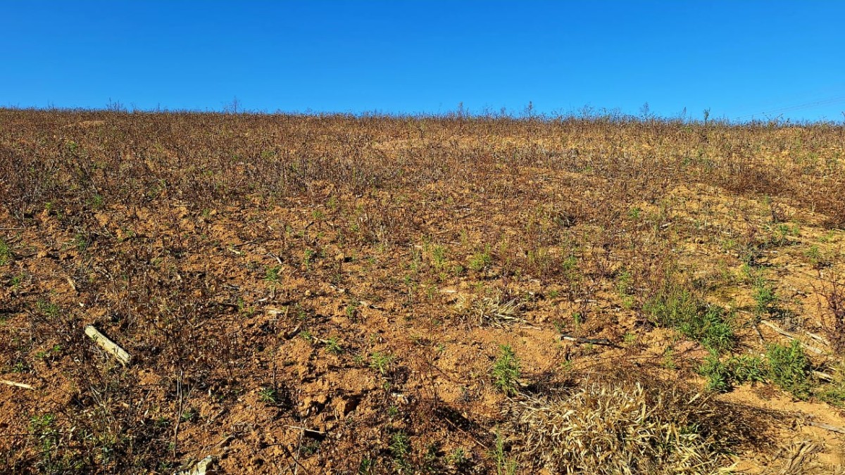 Fazenda, 73 hectares - Foto 2