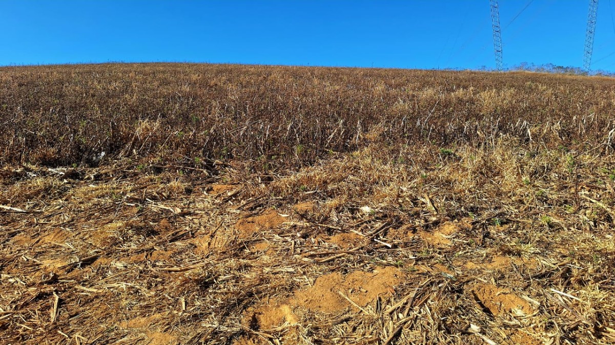Fazenda, 73 hectares - Foto 3
