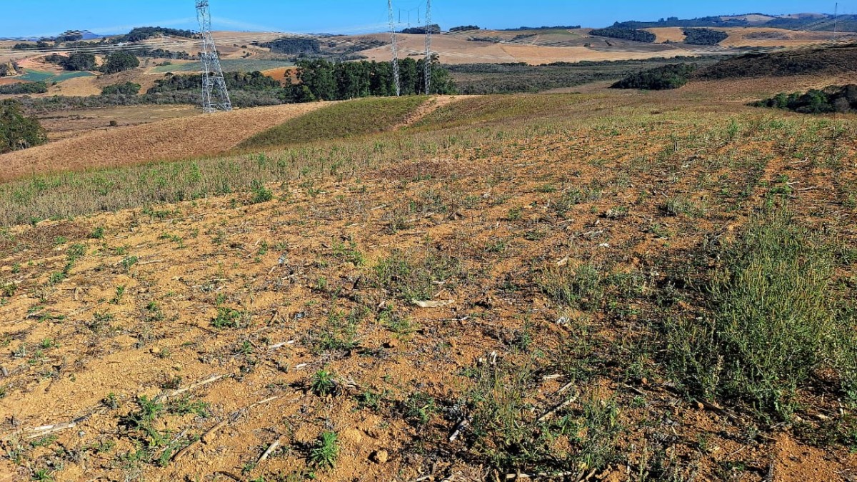 Fazenda, 73 hectares - Foto 6