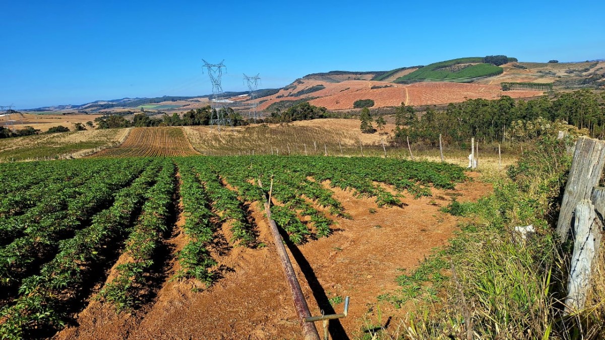 Fazenda, 73 hectares - Foto 1