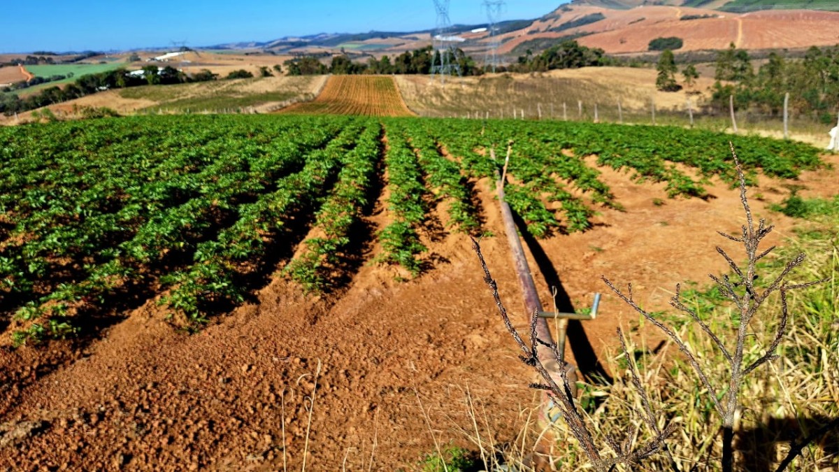 Fazenda, 73 hectares - Foto 9