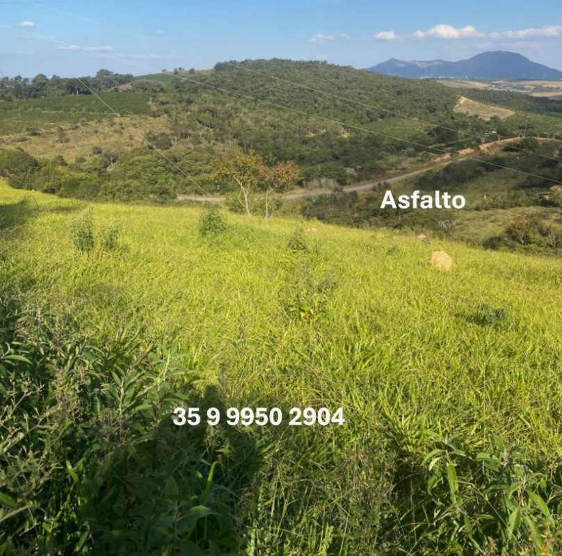 Fazenda, 68 hectares - Foto 10