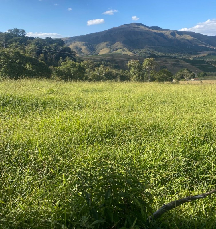 Fazenda, 68 hectares - Foto 13