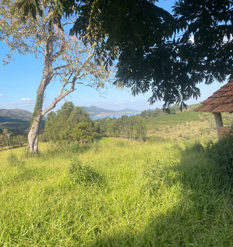 Fazenda, 68 hectares - Foto 12