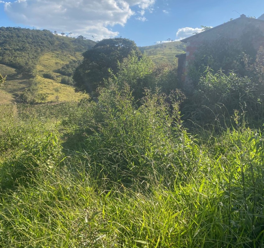 Fazenda, 68 hectares - Foto 11