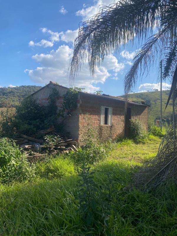 Fazenda, 68 hectares - Foto 7