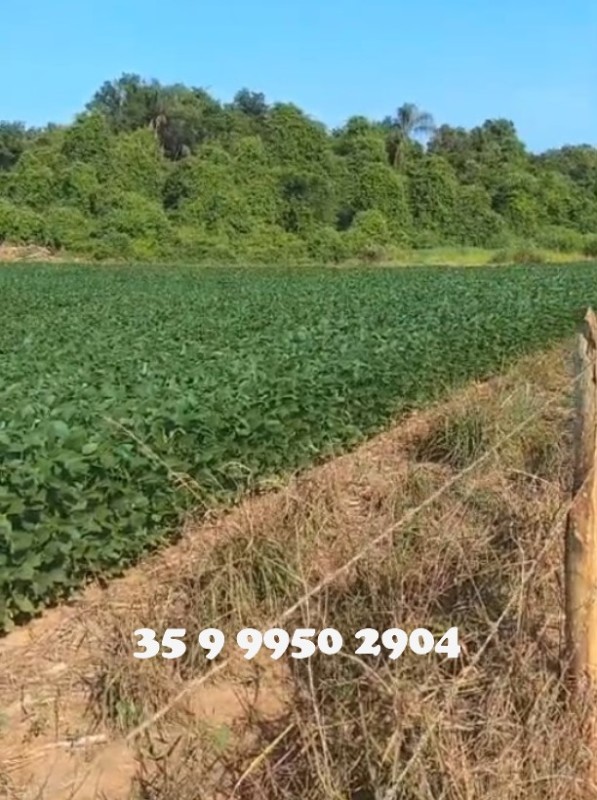 Fazenda, 278 hectares - Foto 24