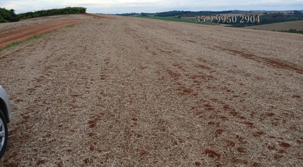 Fazenda, 278 hectares - Foto 7