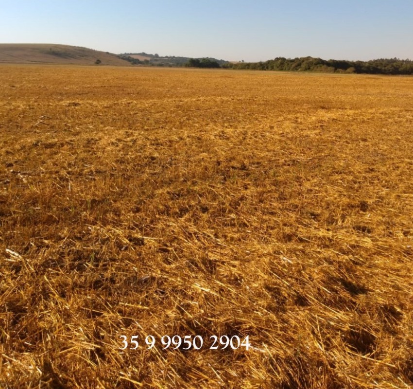 Fazenda, 278 hectares - Foto 21