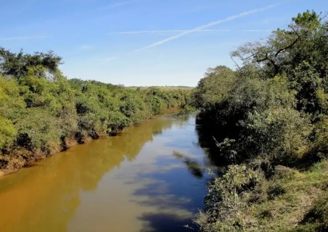 Chácara, 1 quarto, 211 hectares - Foto 13