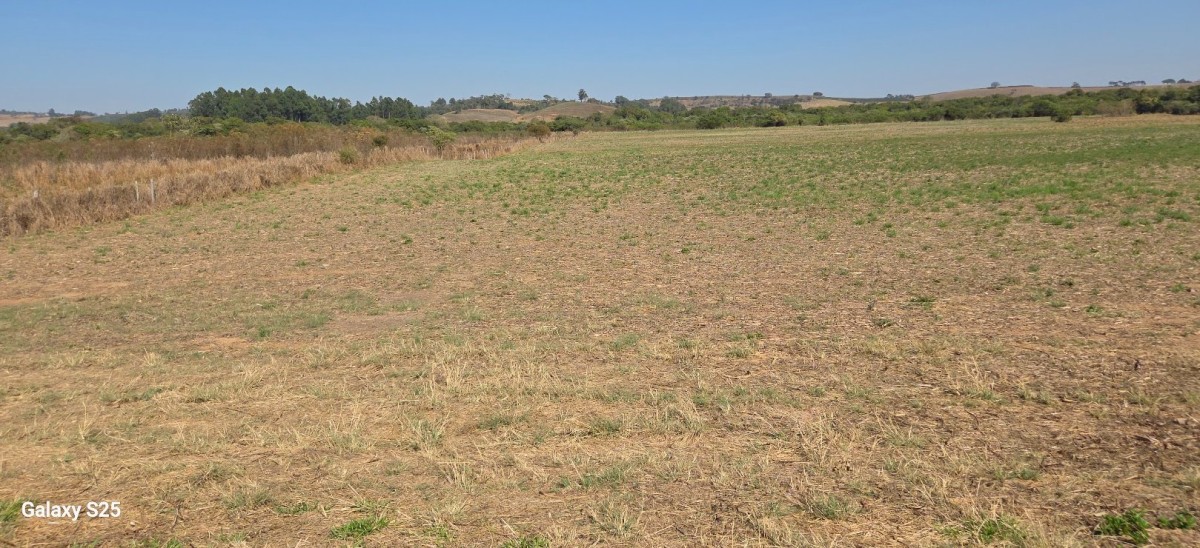 Chácara, 1 quarto, 211 hectares - Foto 7