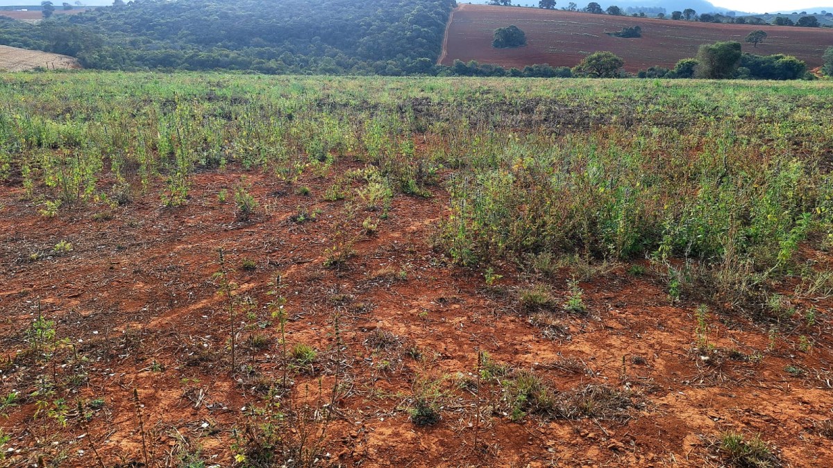 Fazenda, 147 hectares - Foto 15
