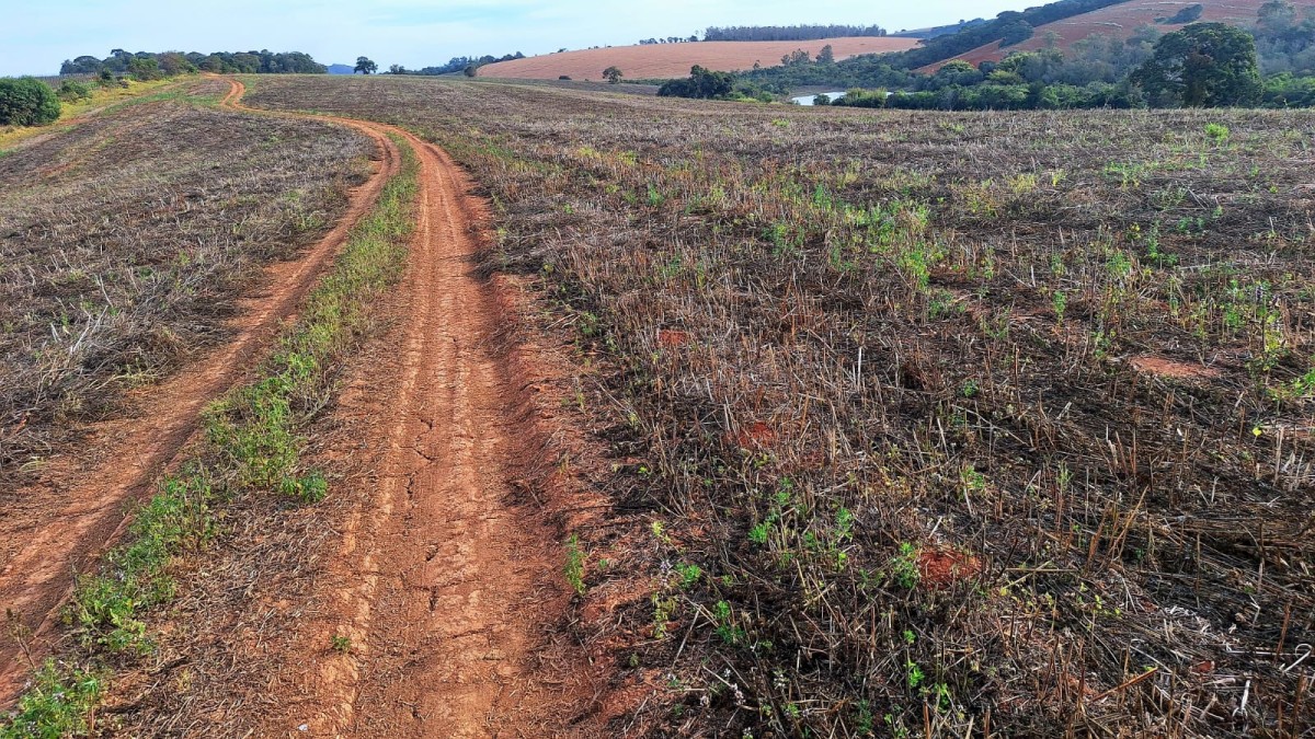 Fazenda, 147 hectares - Foto 14