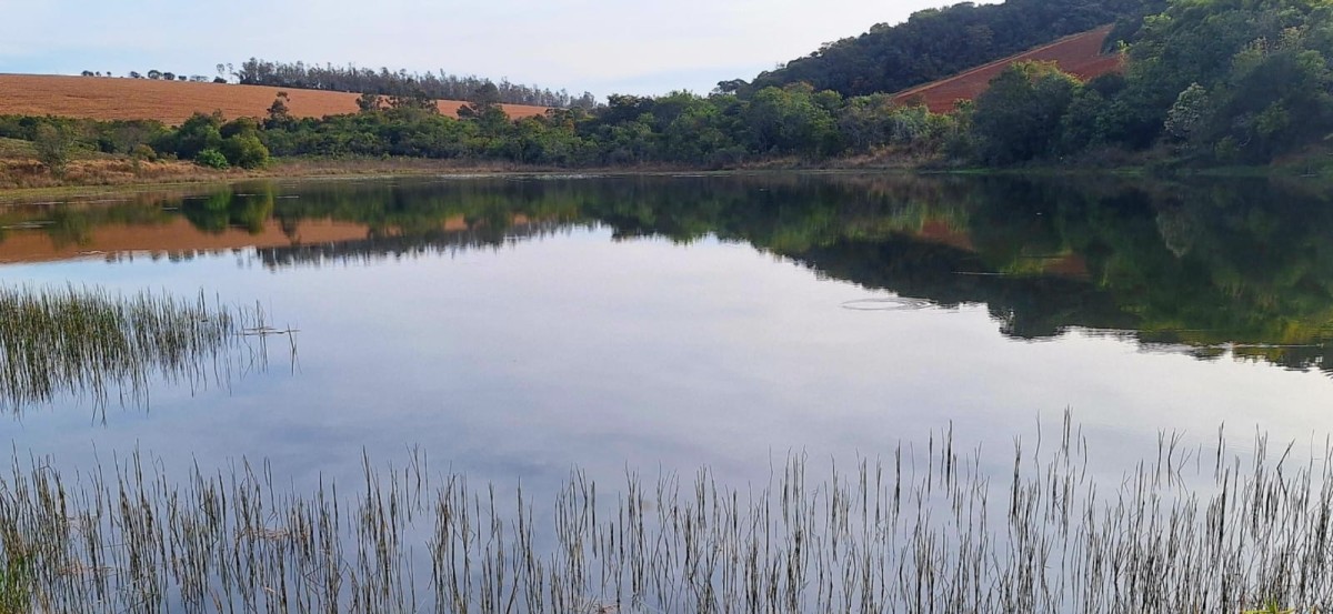 Fazenda, 147 hectares - Foto 8