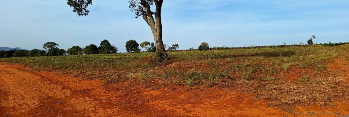 Fazenda, 147 hectares - Foto 7