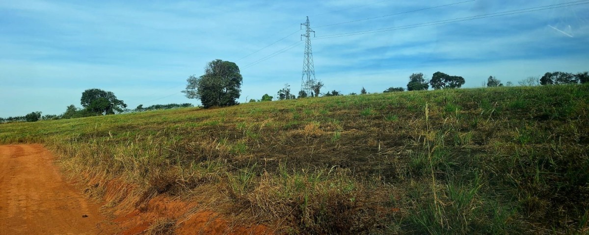 Fazenda, 147 hectares - Foto 6