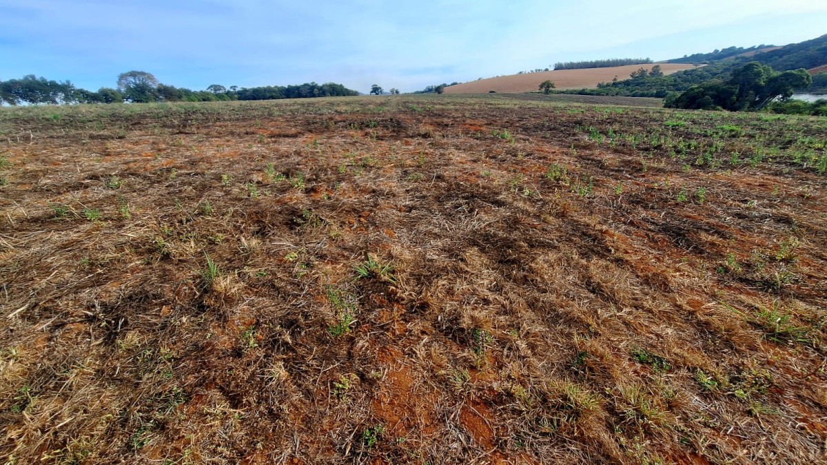 Fazenda, 147 hectares - Foto 12
