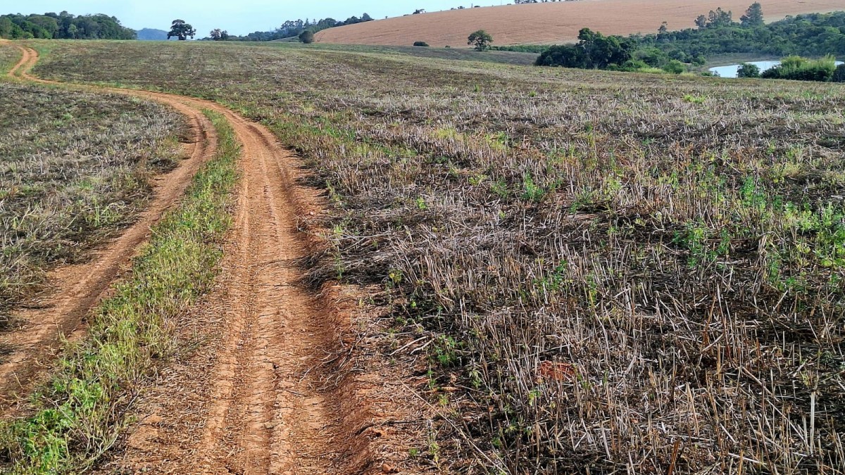 Fazenda, 147 hectares - Foto 13