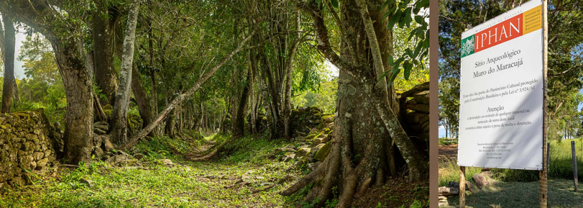 Terreno, 1003 m² - Foto 4