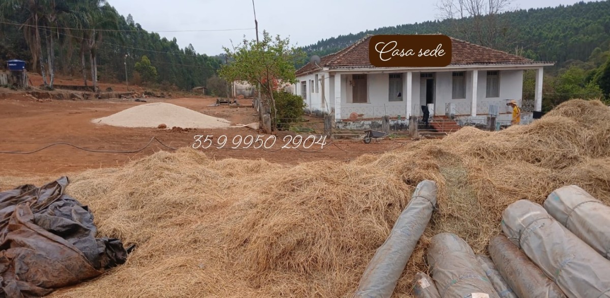 Fazenda, 700 hectares - Foto 7