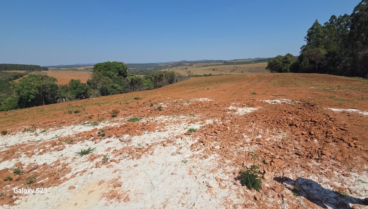 Fazenda, 700 hectares - Foto 17