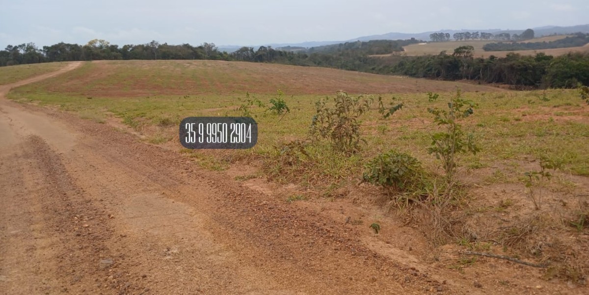 Fazenda, 700 hectares - Foto 11