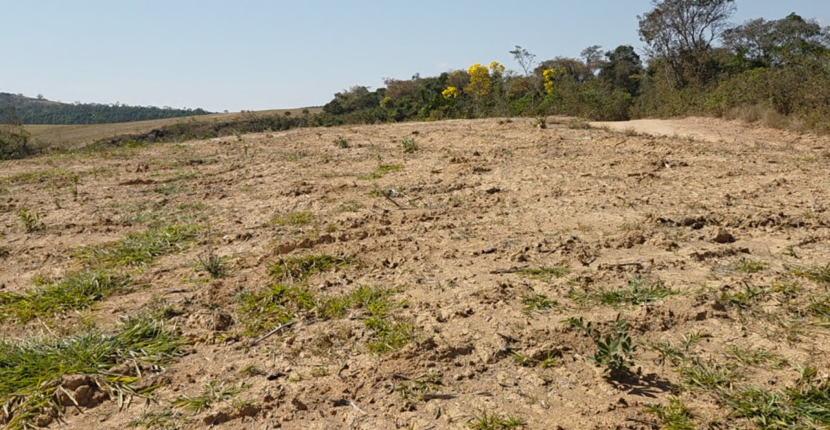 Fazenda, 700 hectares - Foto 14