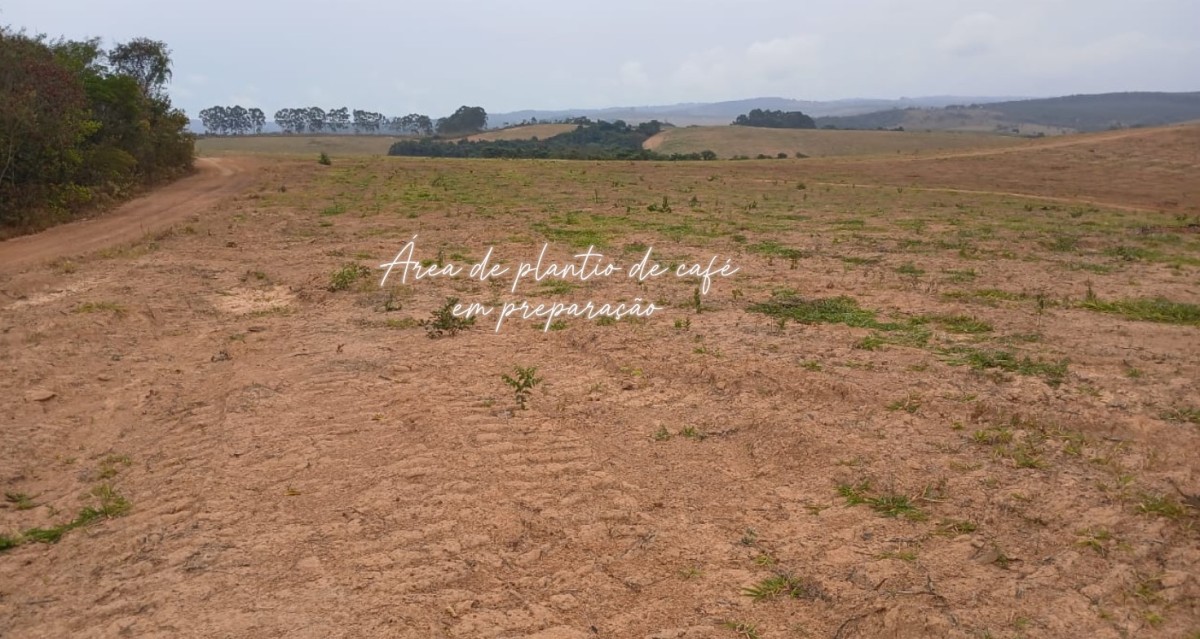 Fazenda, 700 hectares - Foto 12