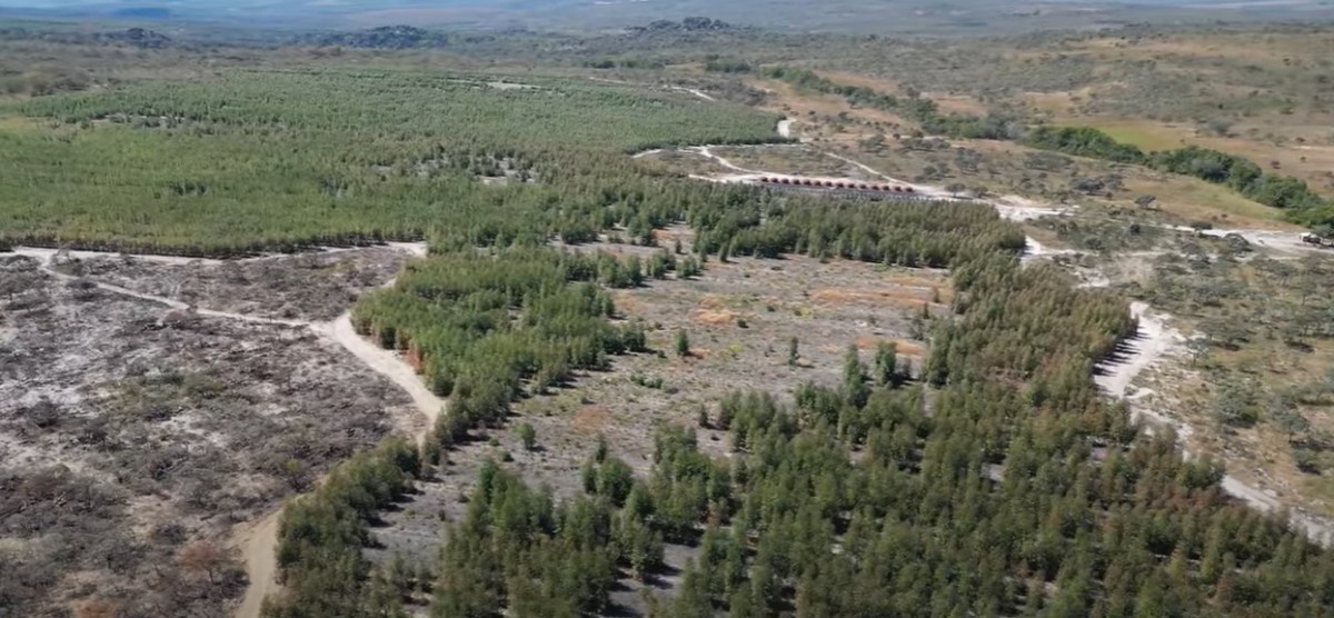 Fazenda, 1636 hectares - Foto 20