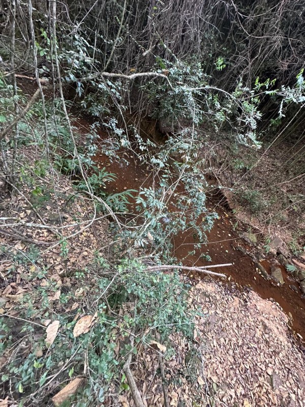 Sítio, 1 quarto - Foto 6