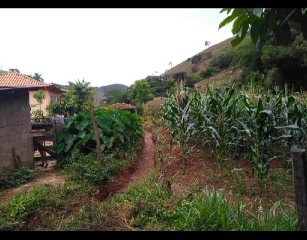 Chácara, 5 quartos, 6 hectares - Foto 4