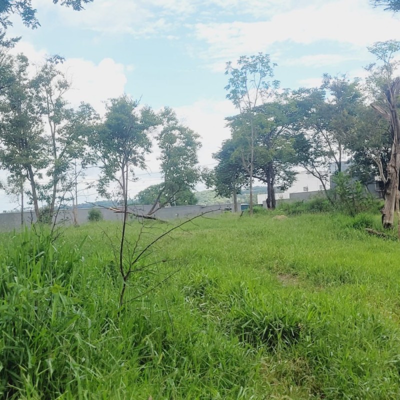 Terreno, 3724 m² - Foto 1