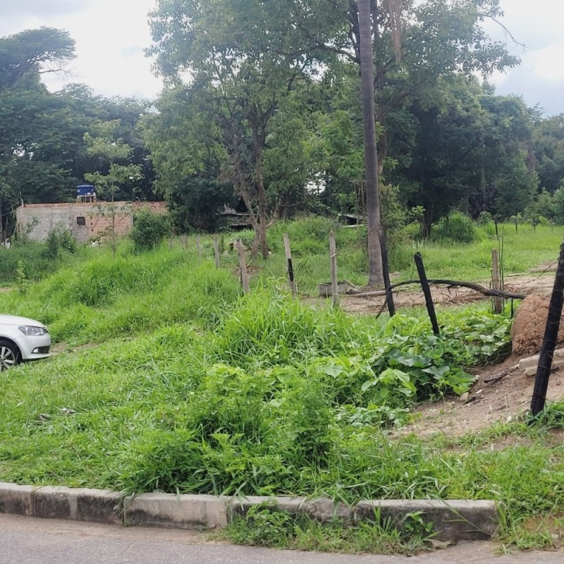 Terreno, 3724 m² - Foto 5