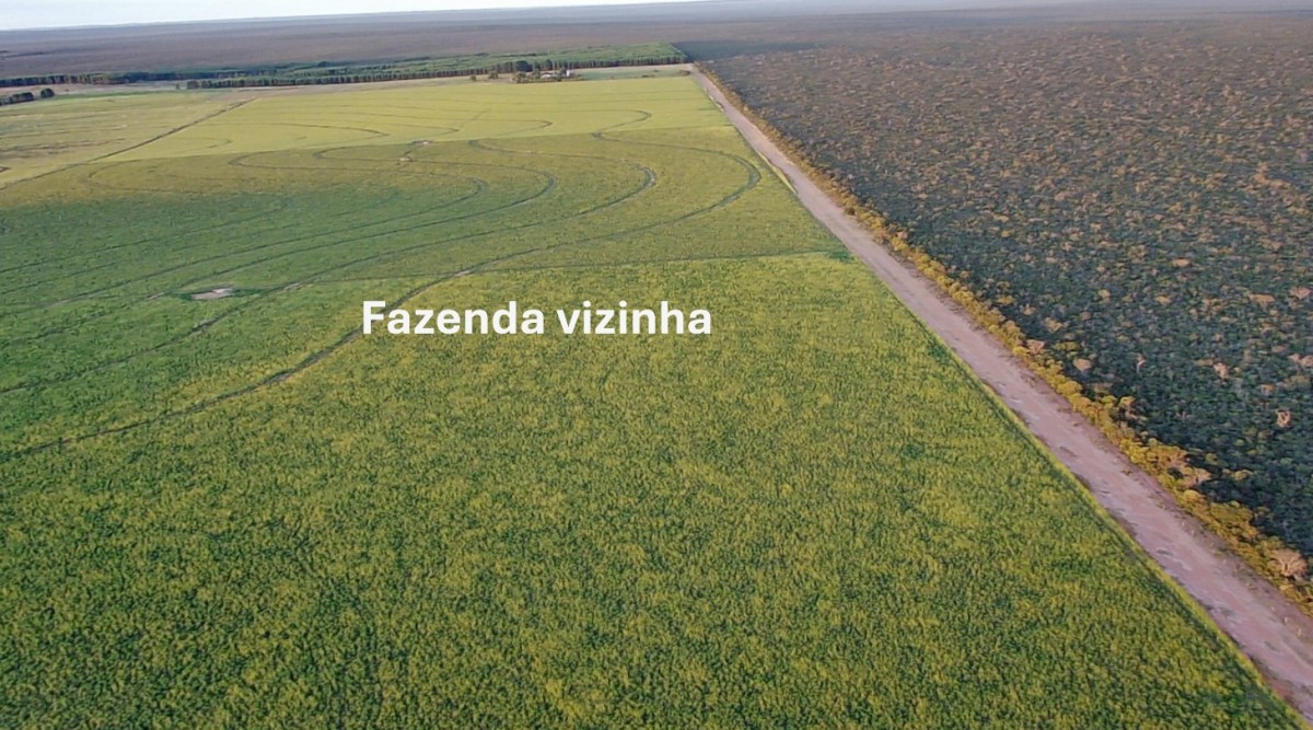 Fazenda, 4004 hectares - Foto 10