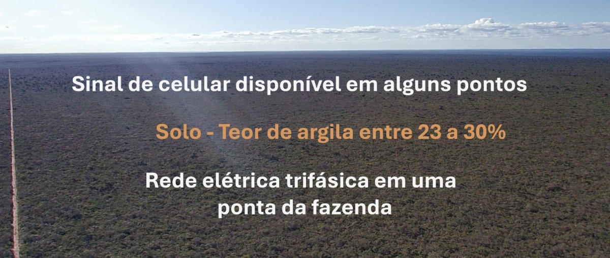 Fazenda, 4004 hectares - Foto 7