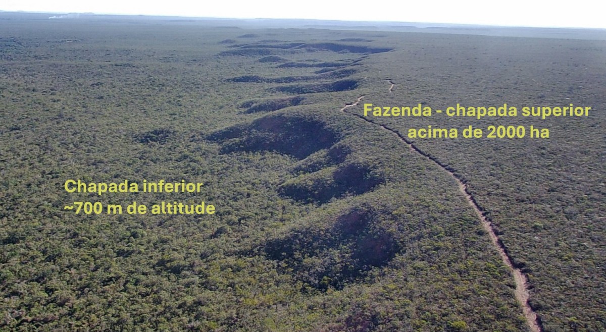 Fazenda, 4004 hectares - Foto 5