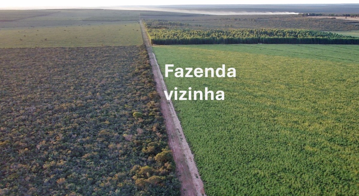 Fazenda, 4004 hectares - Foto 9