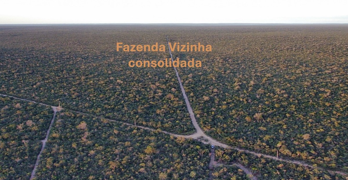 Fazenda, 4004 hectares - Foto 8