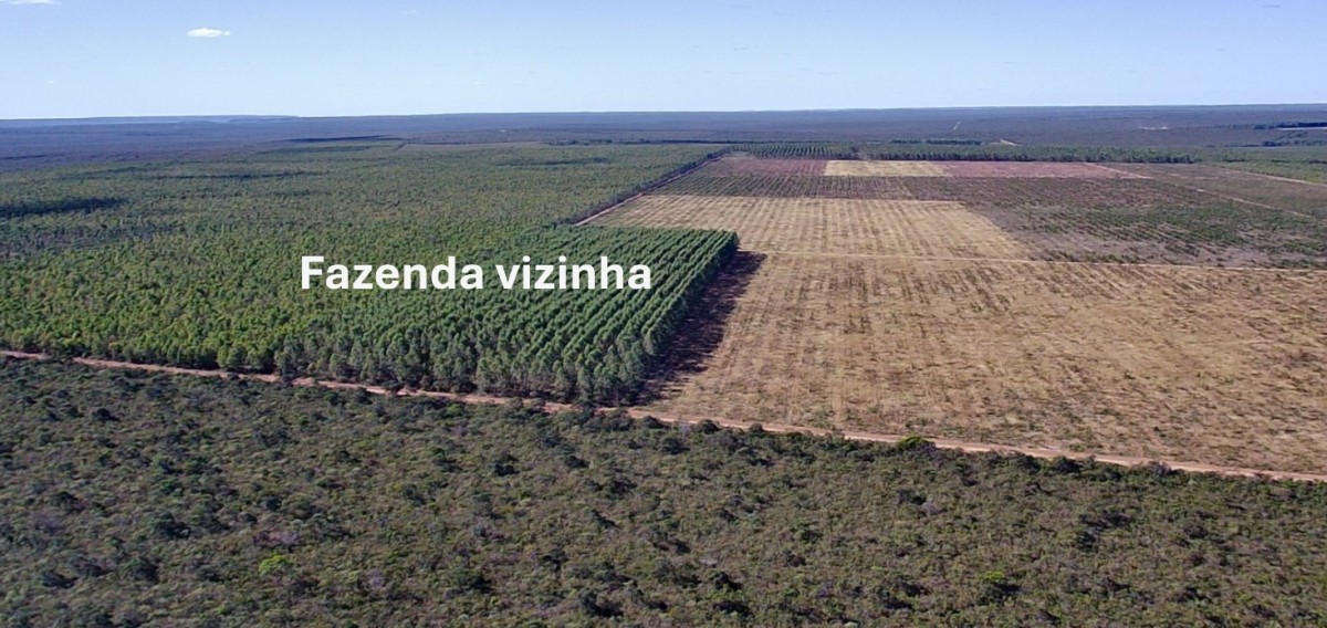 Fazenda, 4004 hectares - Foto 11