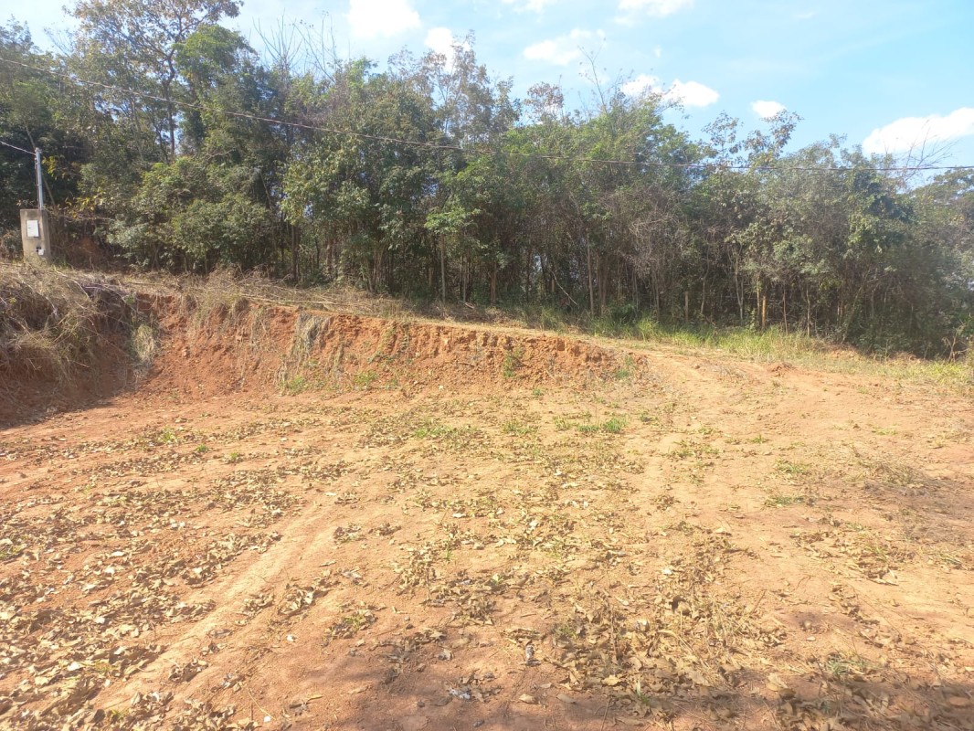 Terreno, 2981 m² - Foto 6