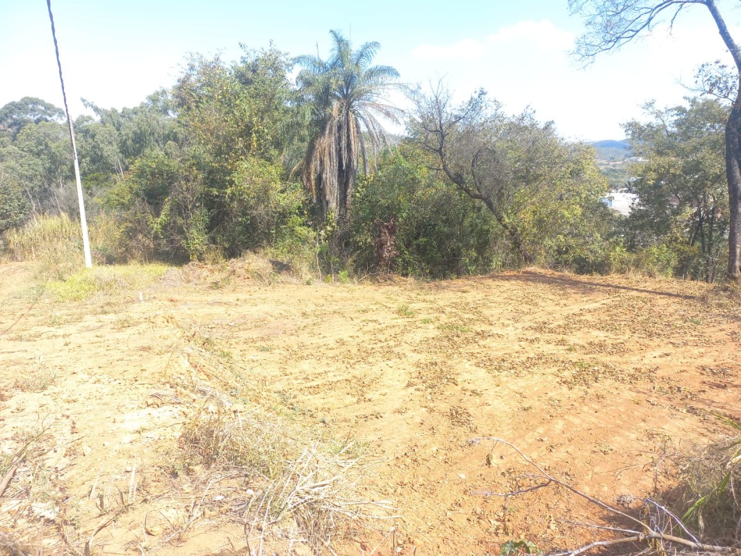 Terreno, 2981 m² - Foto 9