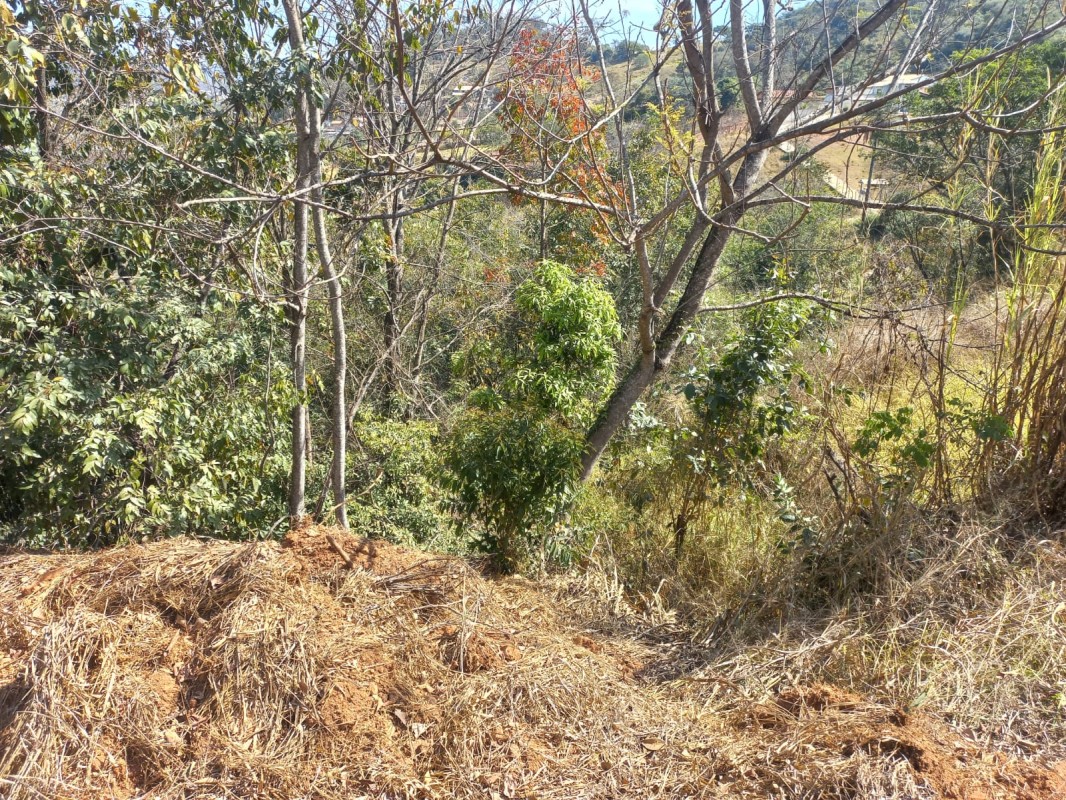 Terreno, 2981 m² - Foto 8