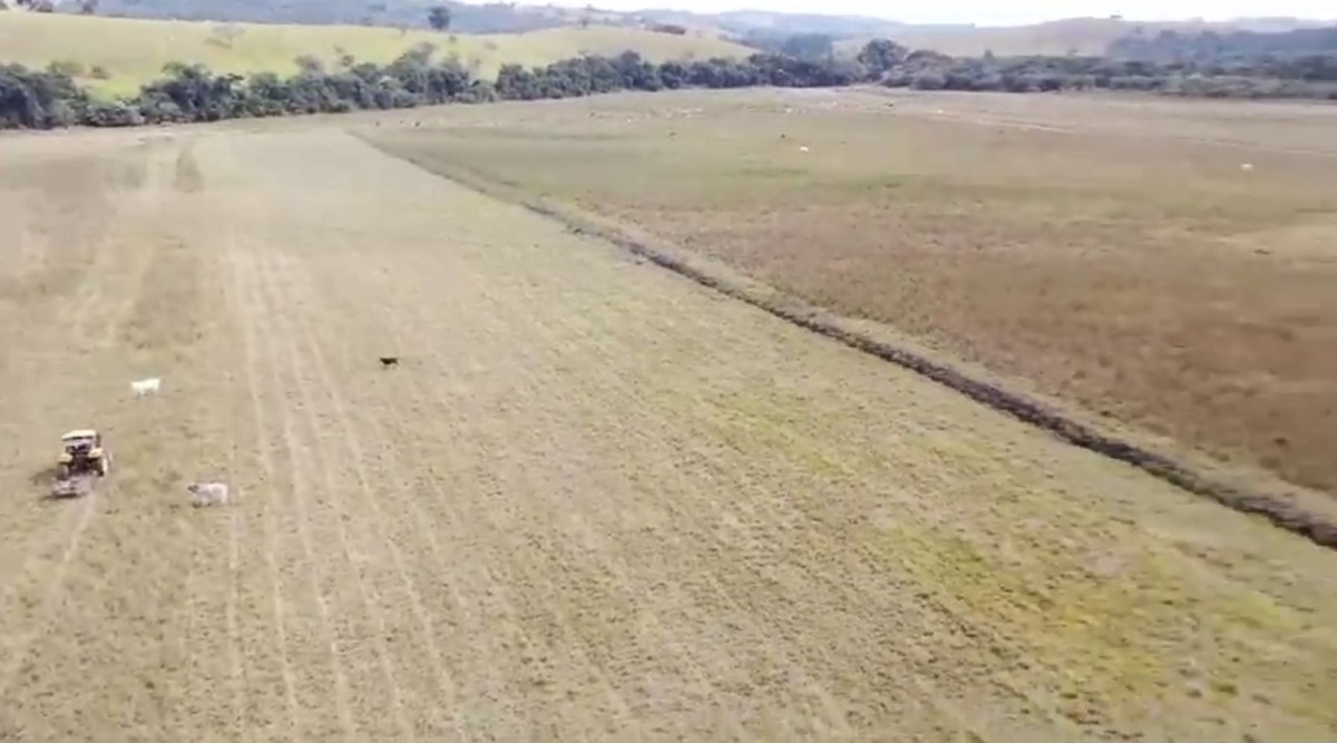 Fazenda, 110 hectares - Foto 6