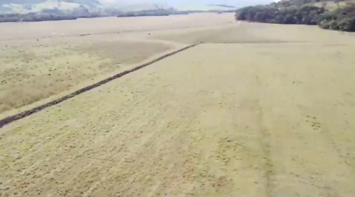 Fazenda, 110 hectares - Foto 8