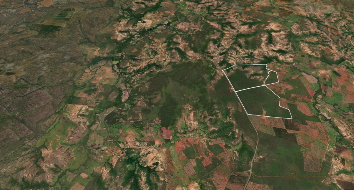 Fazenda, 795 hectares - Foto 1