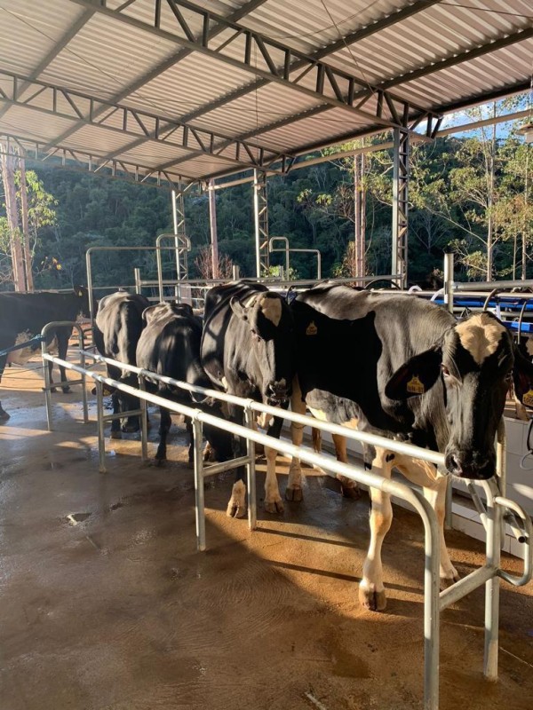 Fazenda, 97 m² - Foto 12