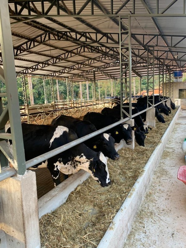 Fazenda, 97 m² - Foto 11