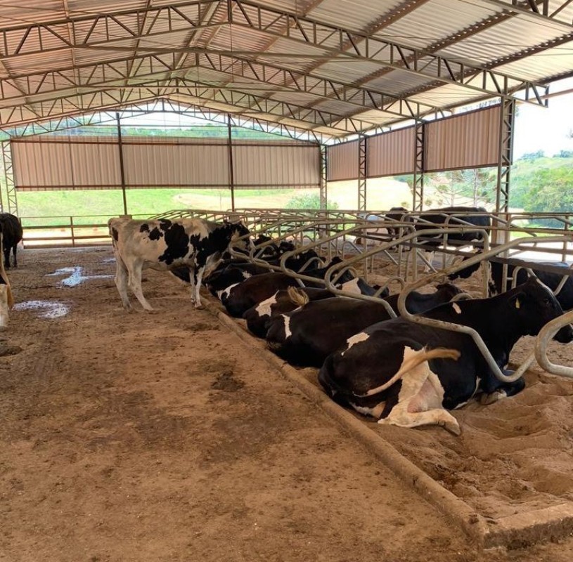 Fazenda, 97 m² - Foto 8