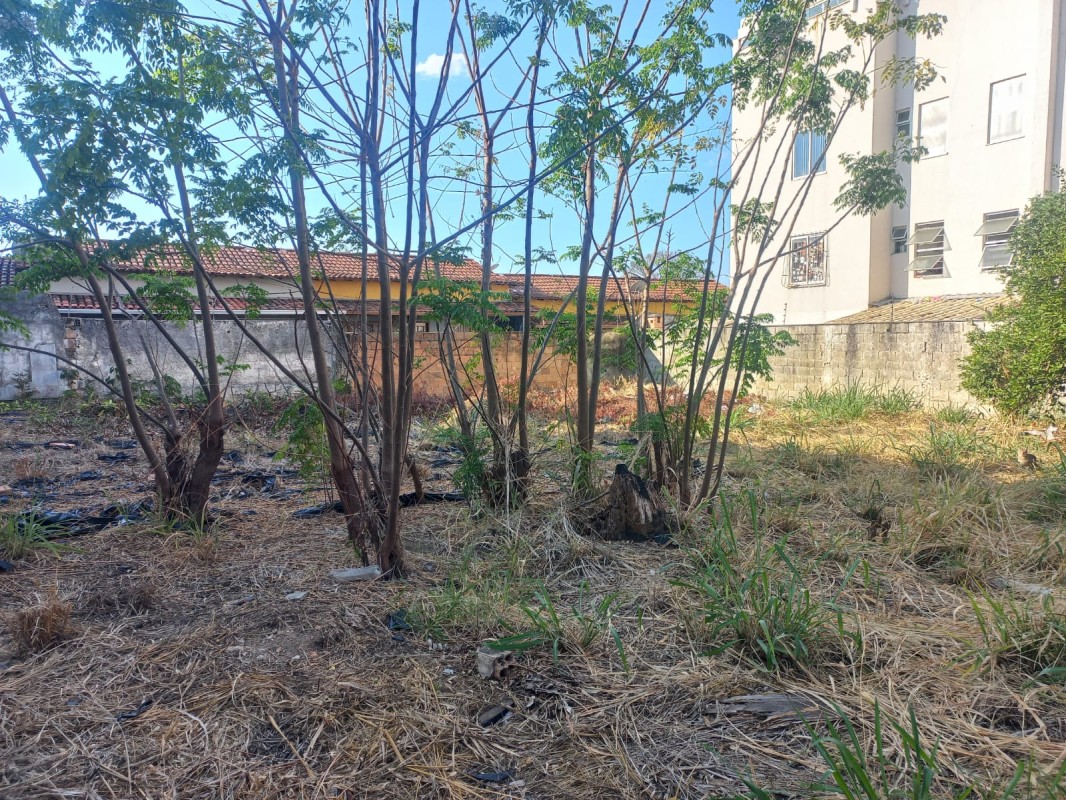 Terreno, 494 m² - Foto 11