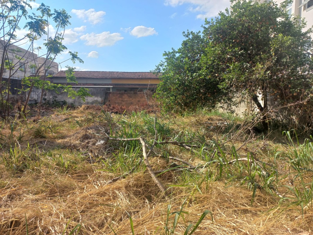 Terreno, 494 m² - Foto 3